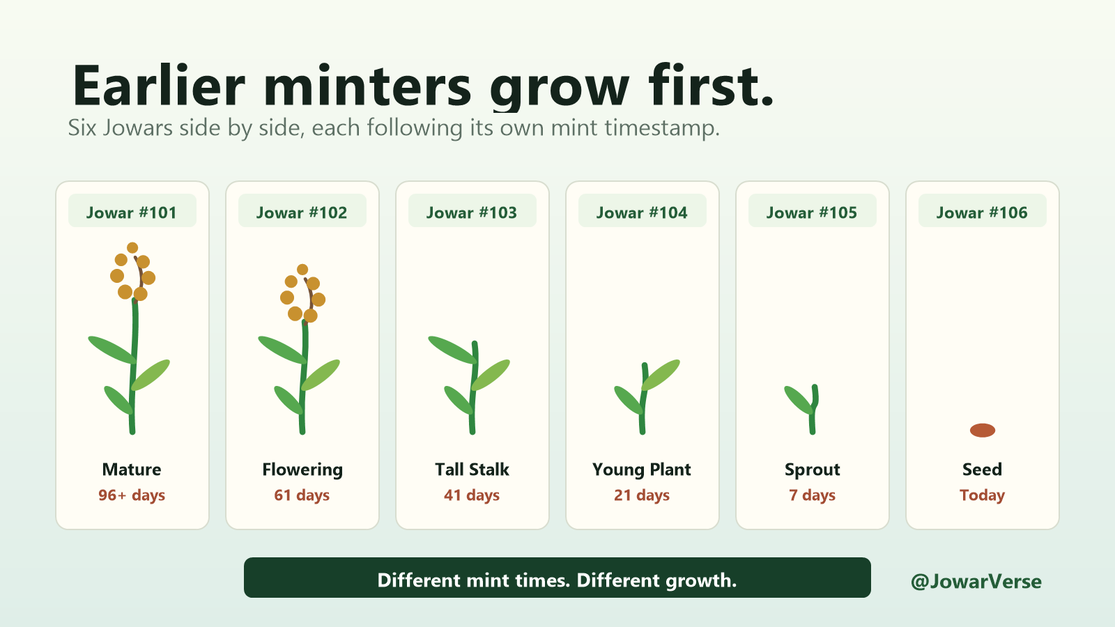 Six JowarVerse NFTs side by side at mature, flowering, tall stalk, young plant, sprout, and seed stages.